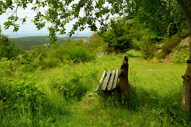 湖人爆发内讧！雷迪克战术安排遭质疑，詹姆斯也提出不同看法.