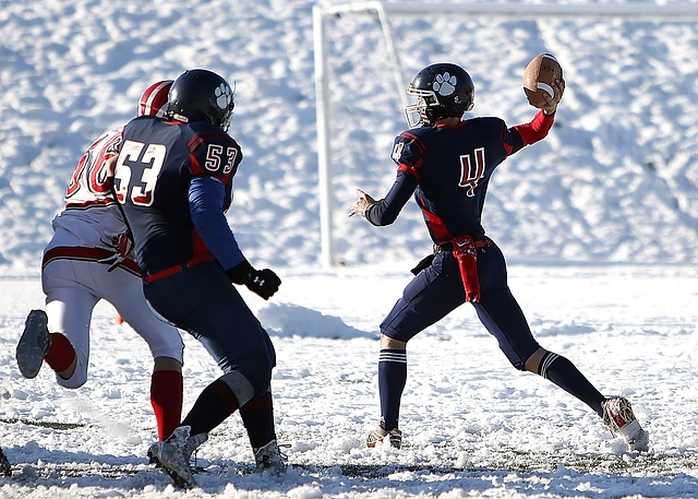 展和进步提 展和进步提