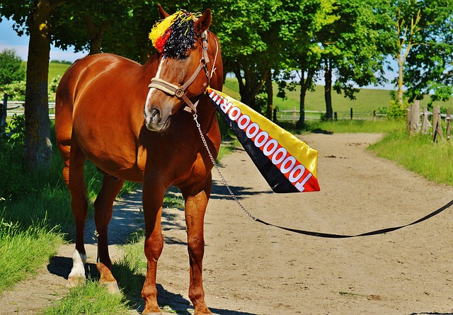 并选择特步 并选择特步