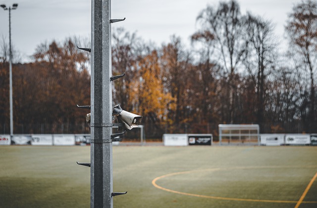 分掌握主动 分掌握主动